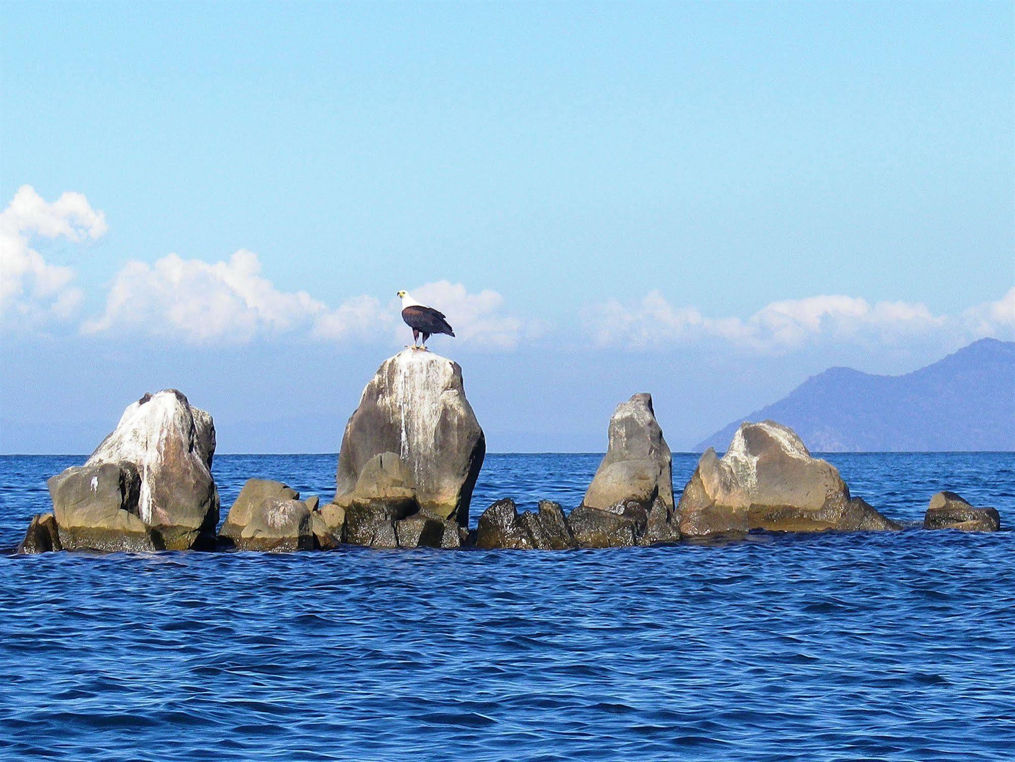 Blue Zebra Island Lodge Senga 외부 사진